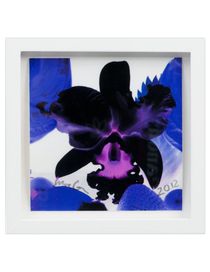 MARC QUINN - Print