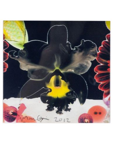ZOOM MARC QUINN - Print