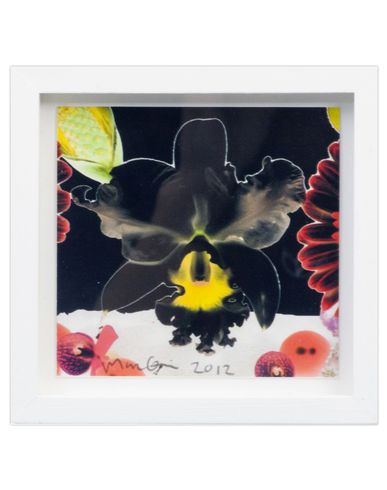 ZOOM MARC QUINN - Print