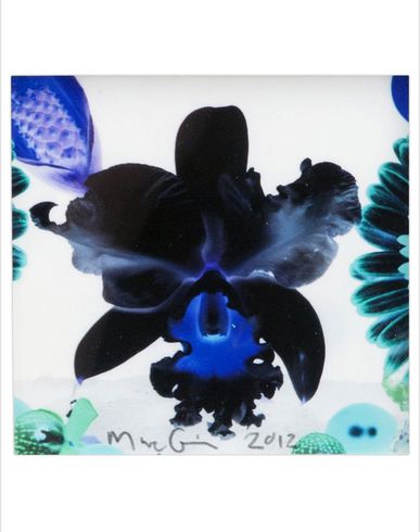 ZOOM MARC QUINN - Print