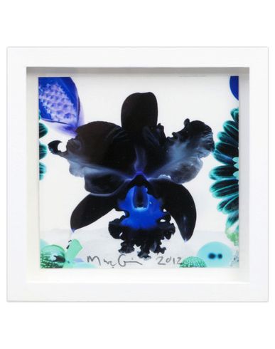 ZOOM MARC QUINN - Print