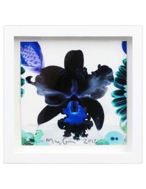 MARC QUINN - Print