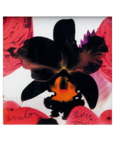 ZOOM MARC QUINN - Print