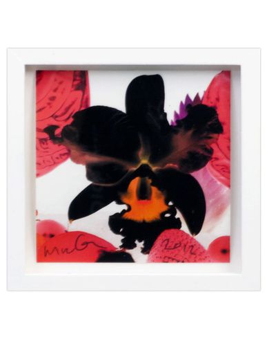 ZOOM MARC QUINN - Print