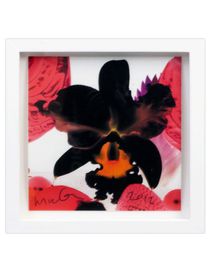 MARC QUINN - Print