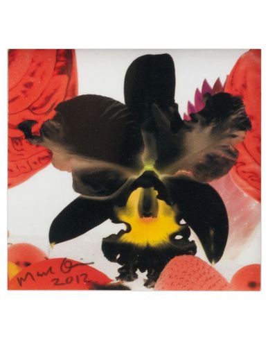 ZOOM MARC QUINN - Print