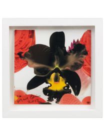 MARC QUINN - Print
