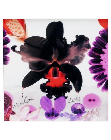 ZOOM MARC QUINN - Print
