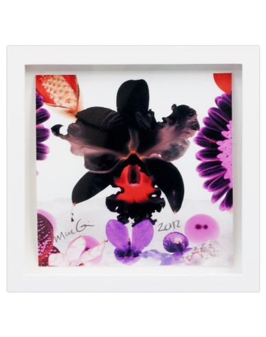 ZOOM MARC QUINN - Print