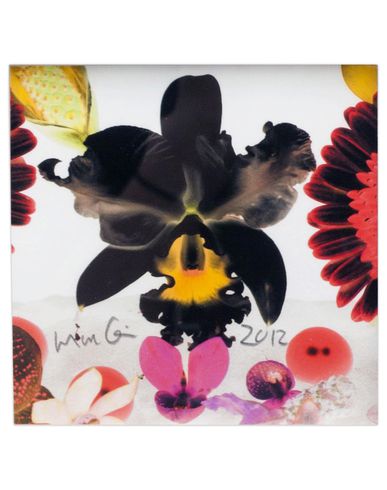 ZOOM MARC QUINN - Print