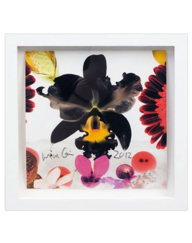 ZOOM MARC QUINN - Print