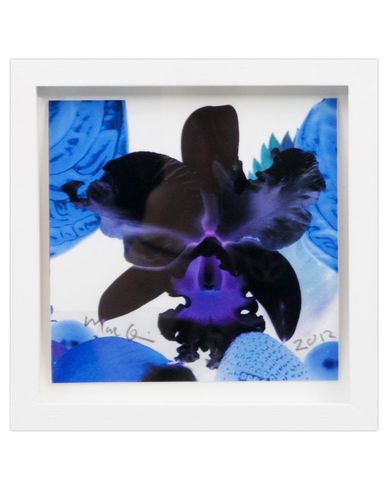 ZOOM MARC QUINN - Print