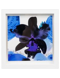 MARC QUINN - Print