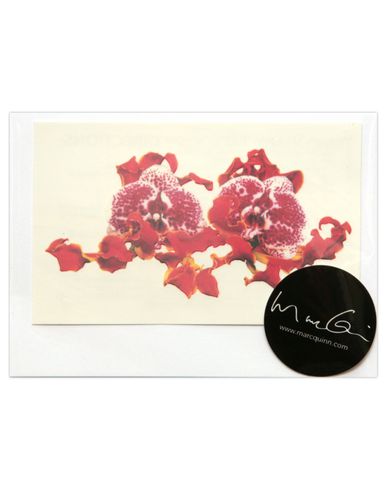 ZOOM MARC QUINN - Gift idea