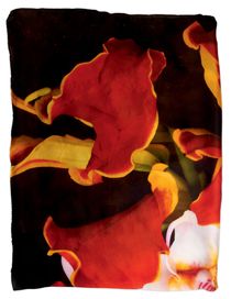 MARC QUINN - Oblong scarf