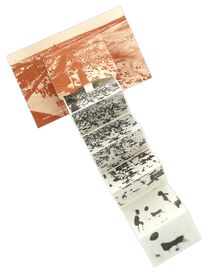 NEW MUSEUM - Artist Object