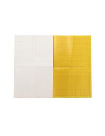 NEW MUSEUM - Artist Object