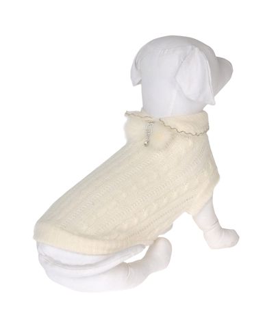 ZOOM DVS DOG VIP STAR - Sweater