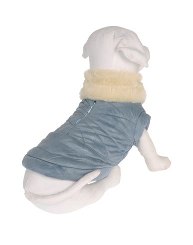 ZOOM DVS DOG VIP STAR - Coat