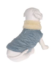 DVS DOG VIP STAR - Coat