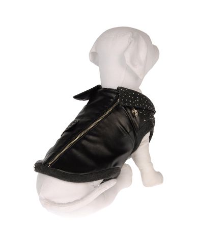 ZOOM DVS DOG VIP STAR - Coat