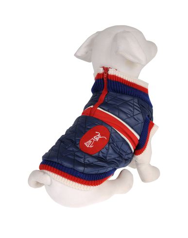 ZOOM DVS DOG VIP STAR - Coat