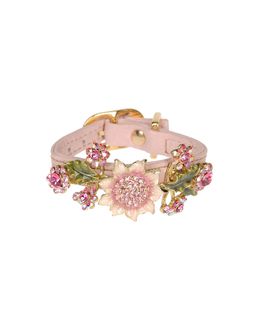 DVS DOG VIP STAR Collars - Item 58010831