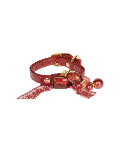 ZOOM DVS DOG VIP STAR - Collar