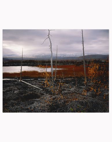 ZOOM MAGNUM PHOTOS - Photography prints and posters