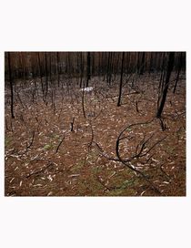 MAGNUM PHOTOS - Photography