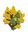 Yellow Yellow