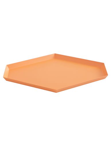 ZOOM HAY - Tray