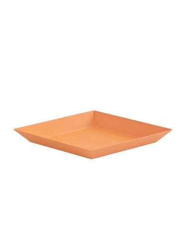 ZOOM HAY - Tray