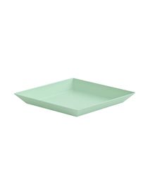 HAY - Tray