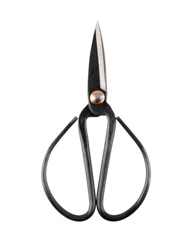 ZOOM HAY - Kitchen utensil
