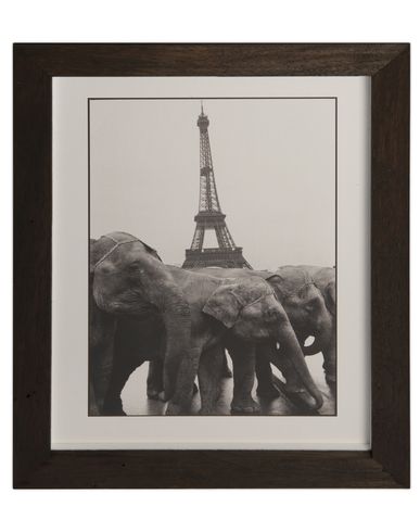 ZOOM MAGNUM PHOTOS - Photograph