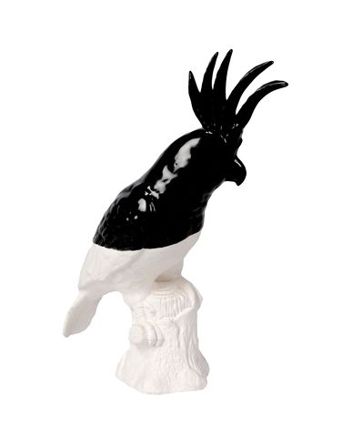 ZOOM POLS POTTEN - Accessory