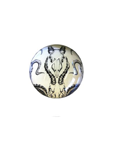ZOOM NATURAL HISTORY - Accessory