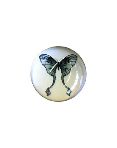ZOOM NATURAL HISTORY - Accessory
