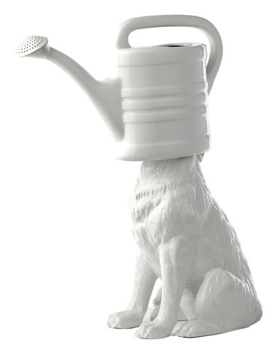 ZOOM POLS POTTEN - Accessory