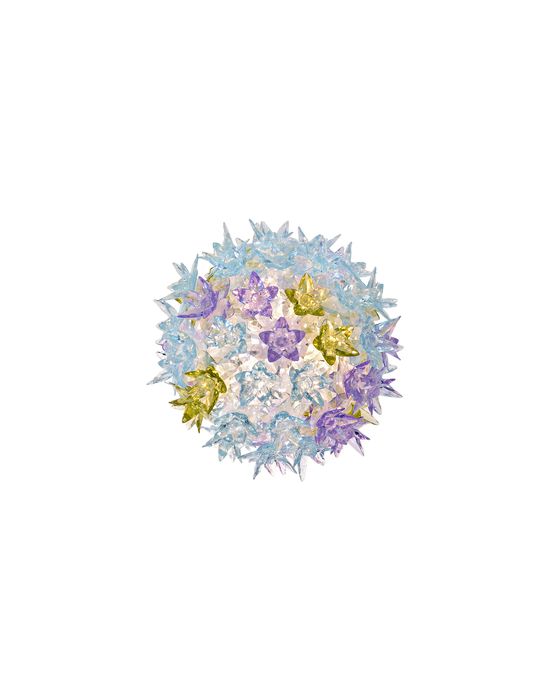 Bloom Wall Lamp