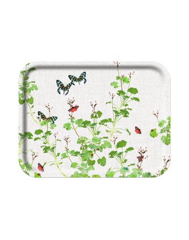 ZOOM ARY TRAYS - Tray