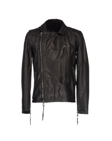 ZOOM GOLD BUNNY - Jacket