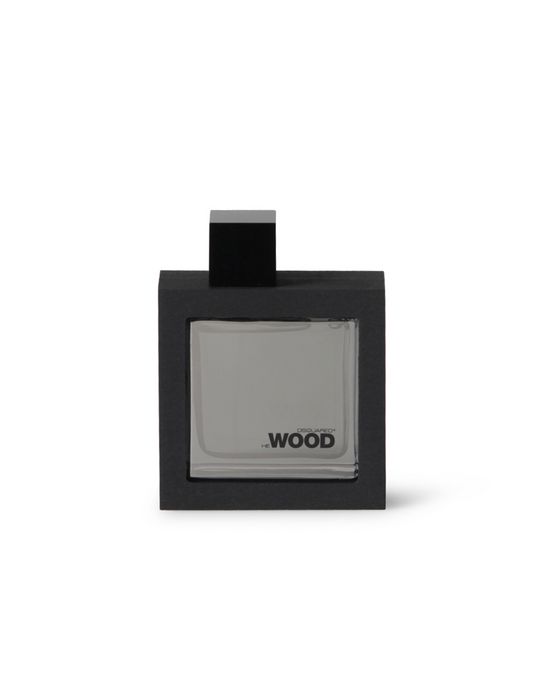 silver wind wood silver wind wood Man Dsquared2