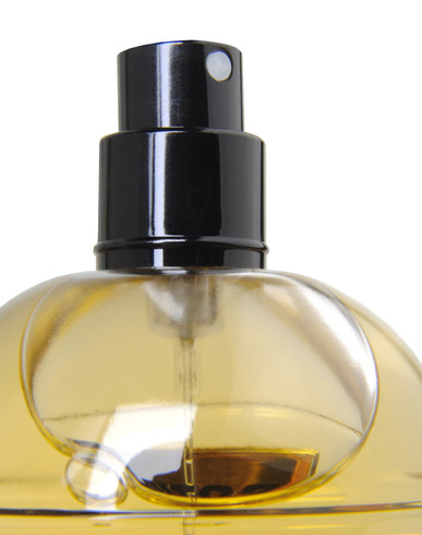 DSQUARED2 - Potion