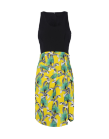 PROENZA SCHOULER - Short dress
