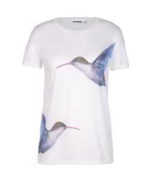 JIL SANDER - Short sleeve t-shirt