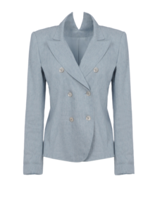 THEYSKENS' THEORY - Blazer