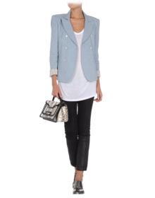 THEYSKENS' THEORY - Blazer