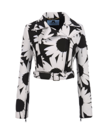 BLUMARINE - Giubbotto